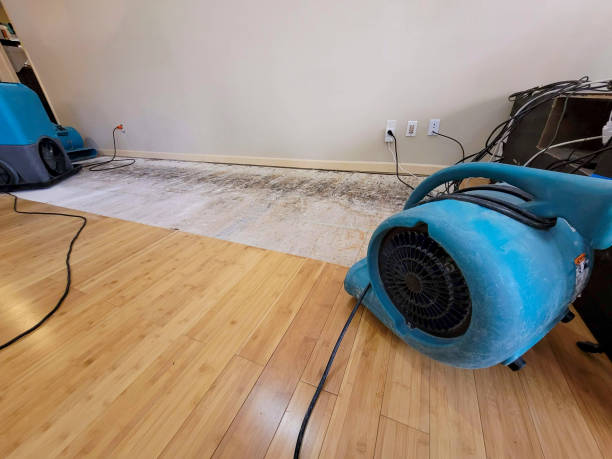 Professional Flood Damage Cleanup technician working in Bethlehem, NH